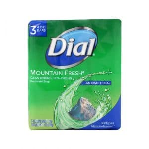 Dial Mountain Fresh Cleansing Rinsing, Non Drying Deodorant Antibacterial Soap Pack Of 3 *113g